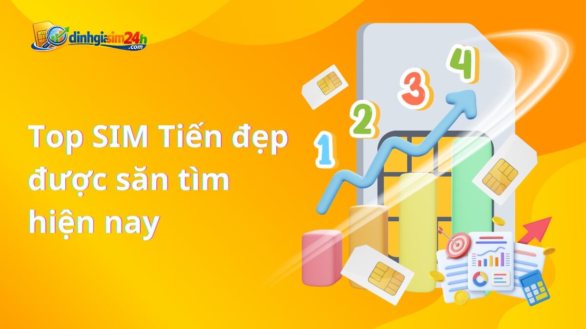 Top dạng SIM Tiến đẹp được giới chơi SIM săn tìm hiện nay